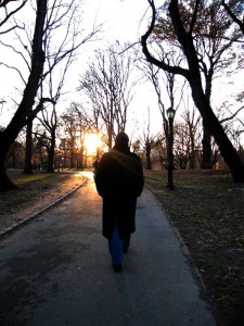 michel_central_park
