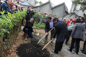 Jardin partagé