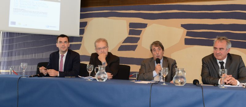 Assemblée plénière du Conseil local de santé mentale