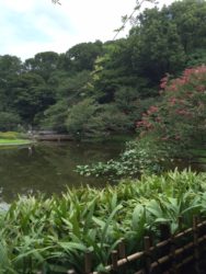 Dans les jardins Est du palais impérial