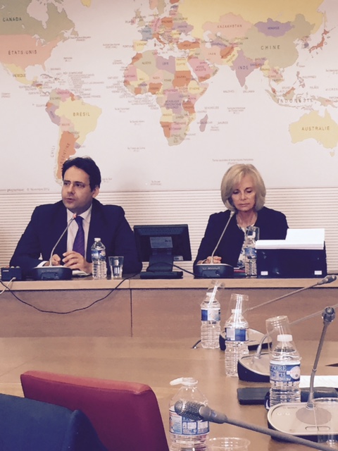 Matthias Fekl, secrétaire d'Etat au Commerce extérieur, aux côtés d'Elisabeth Guigou, présidente de la CAE