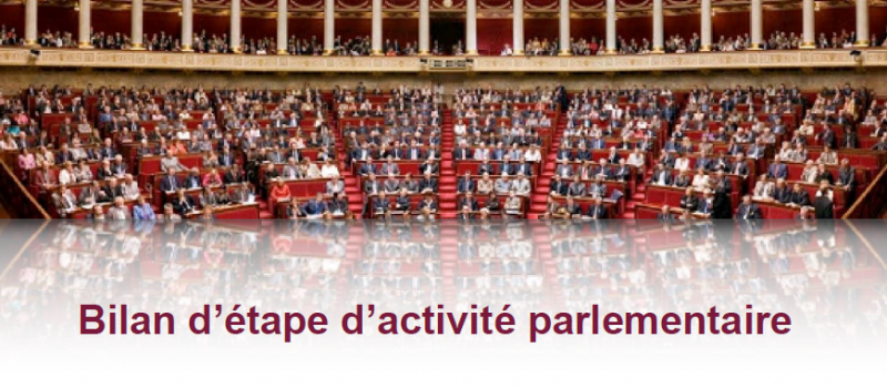 Bilan d’étape d’activité parlementaire